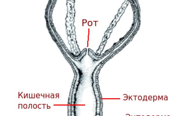 Линк кракена