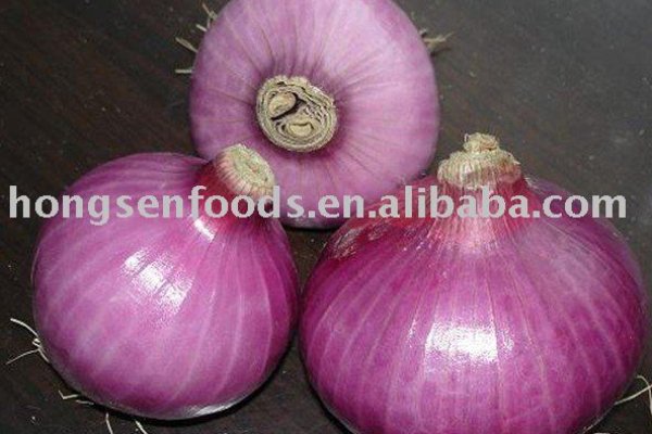 Tor kraken kraken ssylka onion com