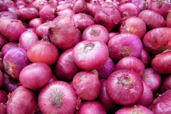 Tor browser для крамп