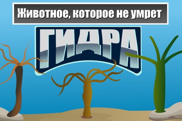 Услуги даркнета