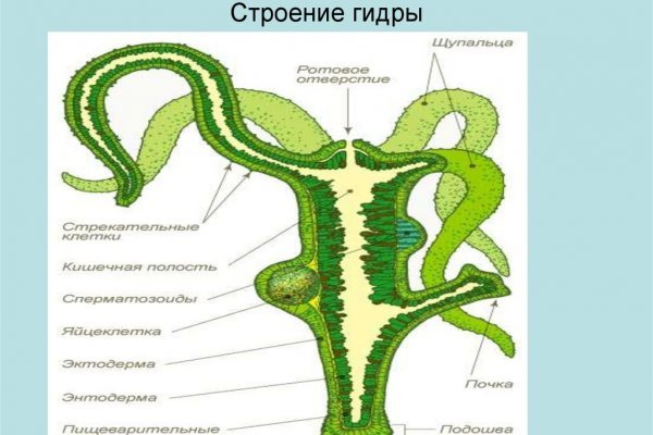 Ссылки на кракен com